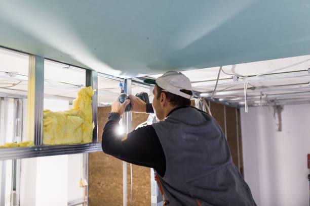 Best Insulation Maintenance and Repair in Polo, IL