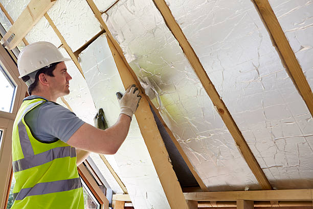 Best Insulation Installation Services in Polo, IL